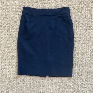 Classic Navy Blue Women's Skirt
